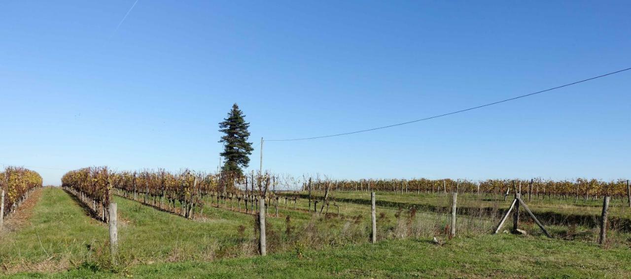 Le Clos De La Chataignere Villa Vérac Kültér fotó